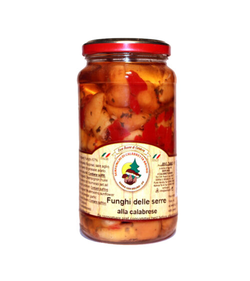 Funghi delle Serre alla Calabrese 550gr