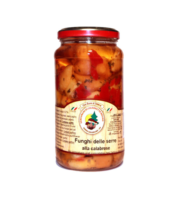 Funghi delle Serre alla Calabrese 550gr